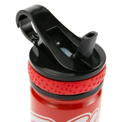 Gourde Minnie en acier inoxydable